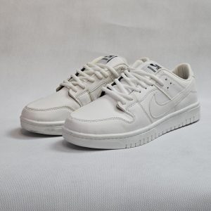 کتونی نایک اس بی nike sb